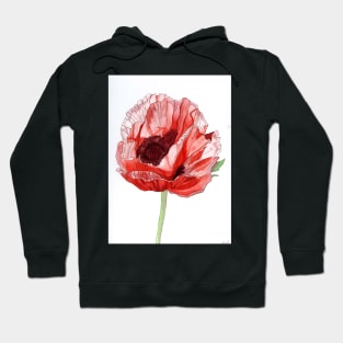 Single Red Poppy original watercolour flower painting Hoodie